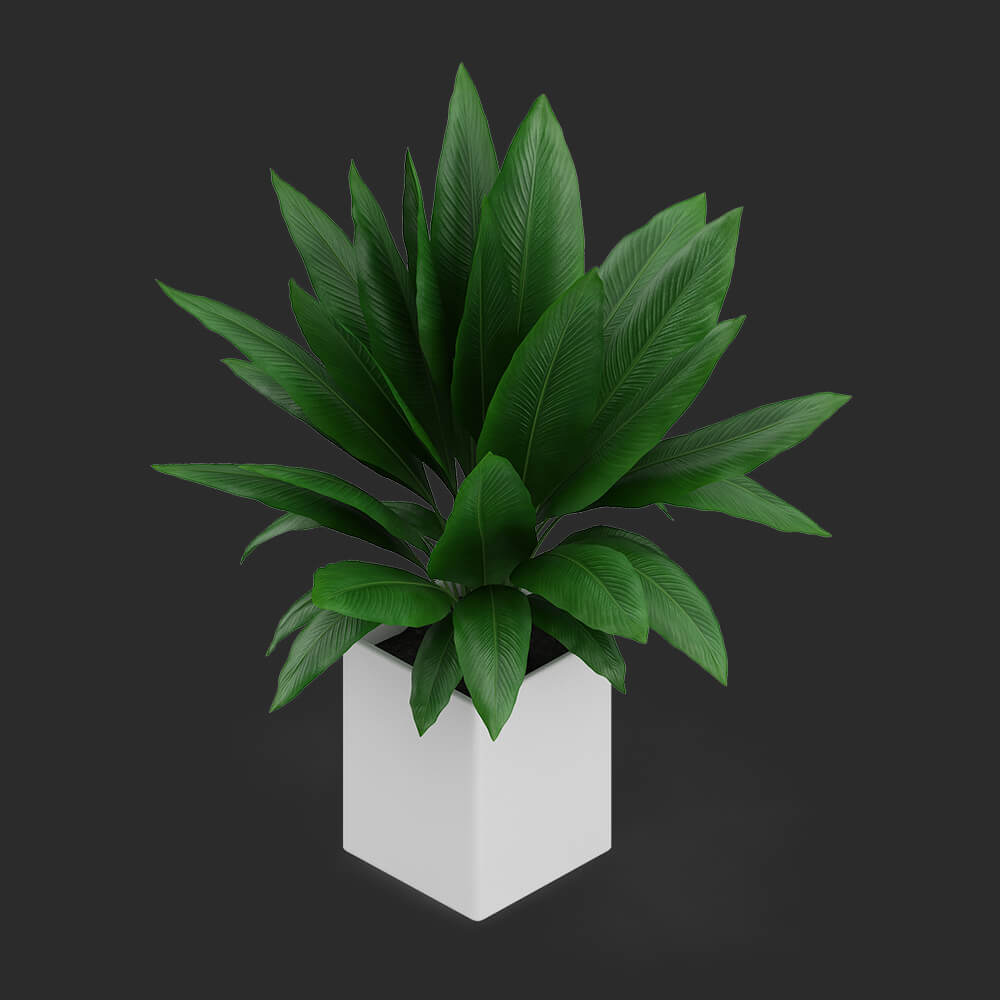 shop_01